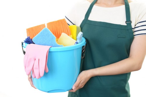 Post-build cleaning in a Westminster property after renovation