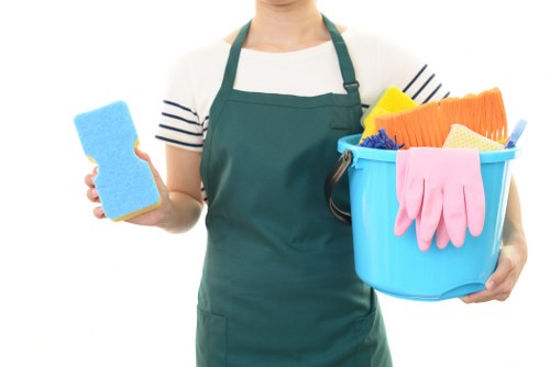 Professional oven cleaning in Westminster kitchen setting