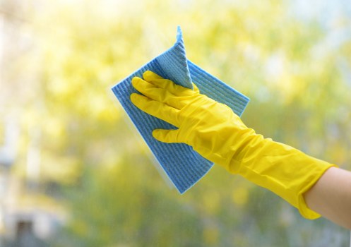 Employee reviewing ethical compliance documents for oven cleaning services in Westminster