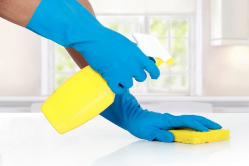 Deep cleaning of stone and tile floors in a Westminster property