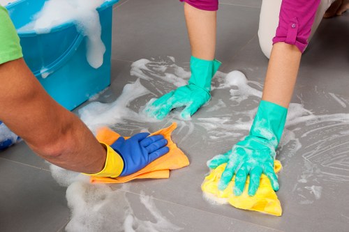 Deep cleaning process for a rug in a Westminster property