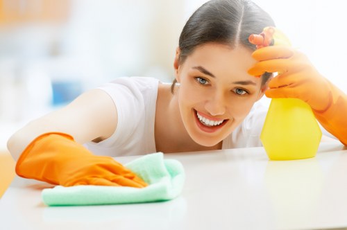 Professional oven cleaning pricing overview in a Westminster kitchen