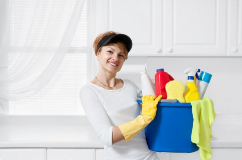 Domestic cleaning service for a flat in Westminster