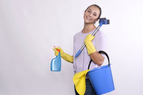 Inclusive web access for oven cleaning services in Westminster