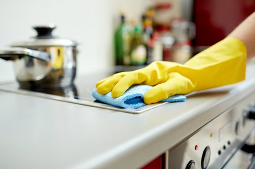 Cleaning professional inspecting oven components and safety
