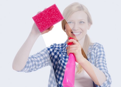 Professional sofa cleaning service for Westminster homes