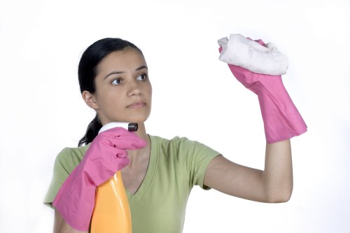 Domestic cleaner working in a Westminster townhouse